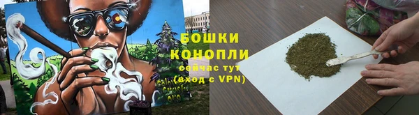 бошки Верея