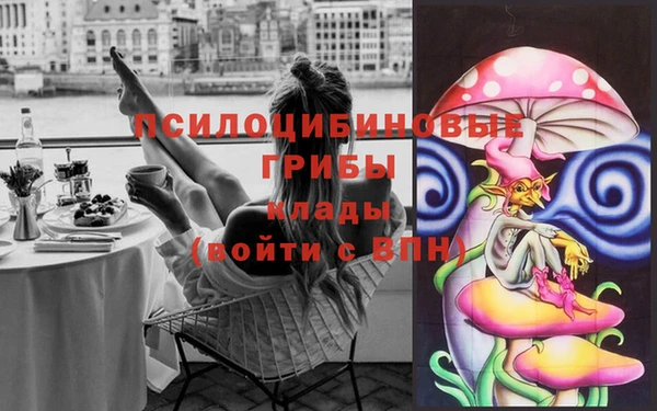 дживик Бородино
