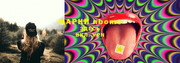 дживик Бородино
