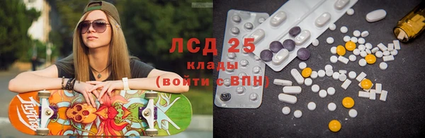 дживик Бородино