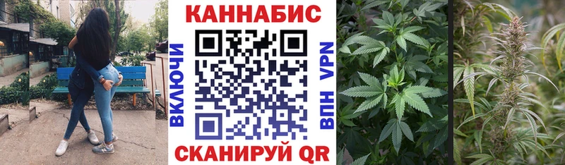 купить   Высоцк  Марихуана White Widow 